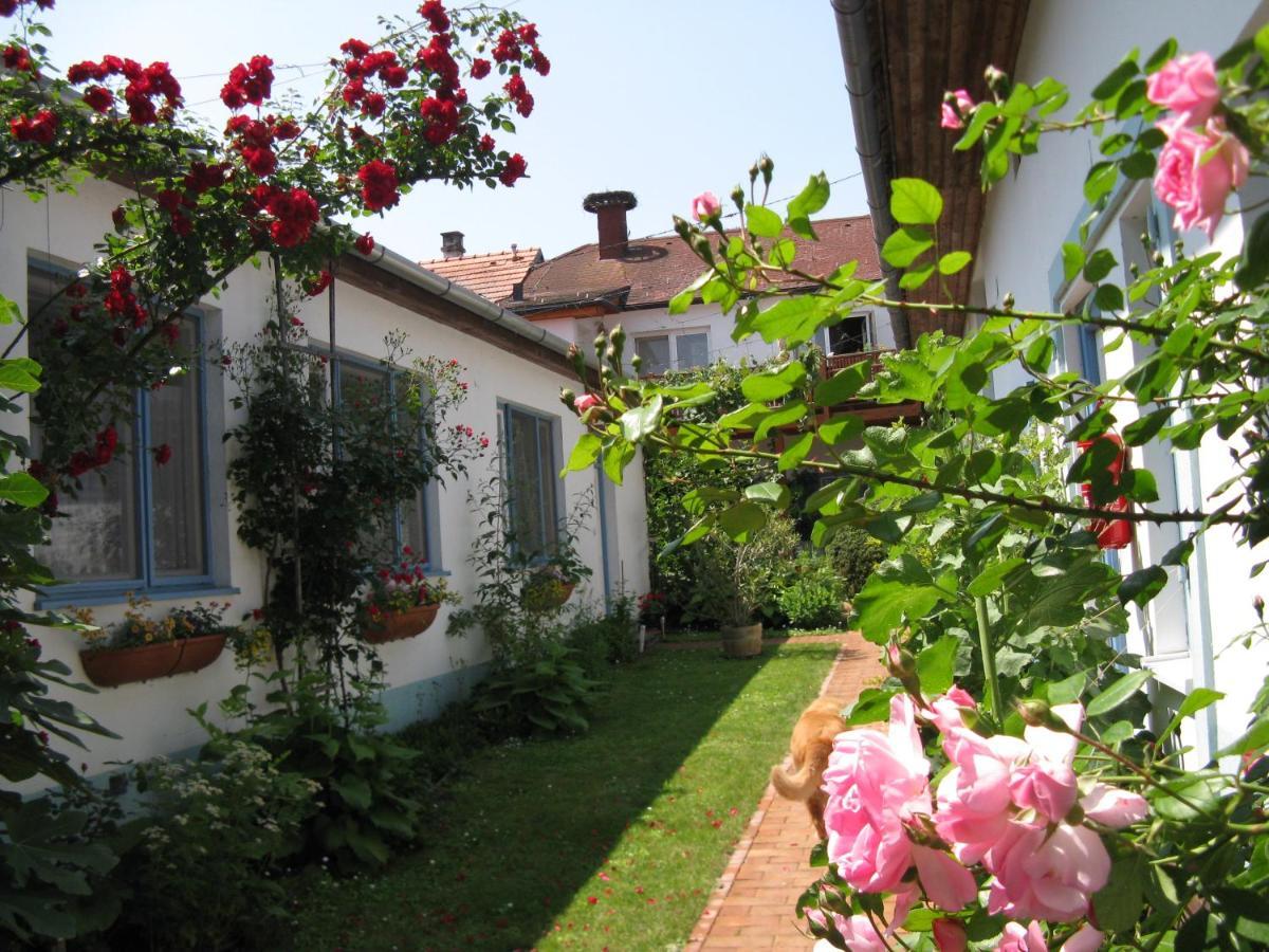 Stieglerhof Kg -Apartments Illmitz- Екстер'єр фото
