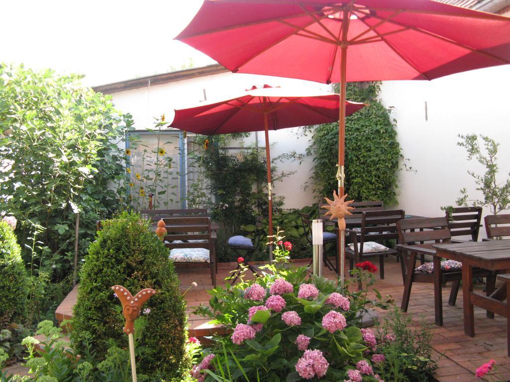 Stieglerhof Kg -Apartments Illmitz- Екстер'єр фото